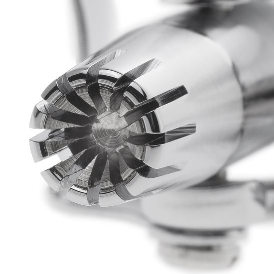 Cleste pentru tuns in nas si urechi - Zwilling Classic Inox